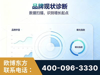 龙南-品牌现状诊断